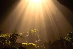 Darkness bearing signs
