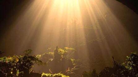 Darkness bearing signs