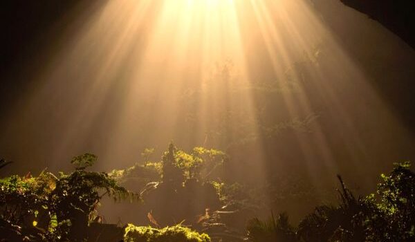 Darkness bearing signs